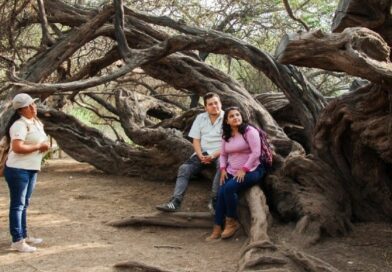 Diez razones para conocer el Santuario Histórico Bosque de Pómac Diez razones para conocer el Santuario Histórico Bosque de Pómac